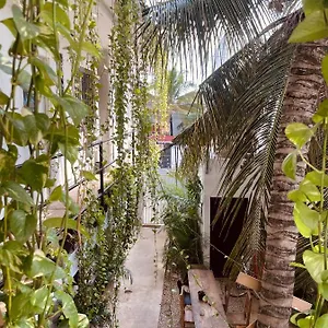 Mini-hôtel Anana Coliving, Playa del Carmen